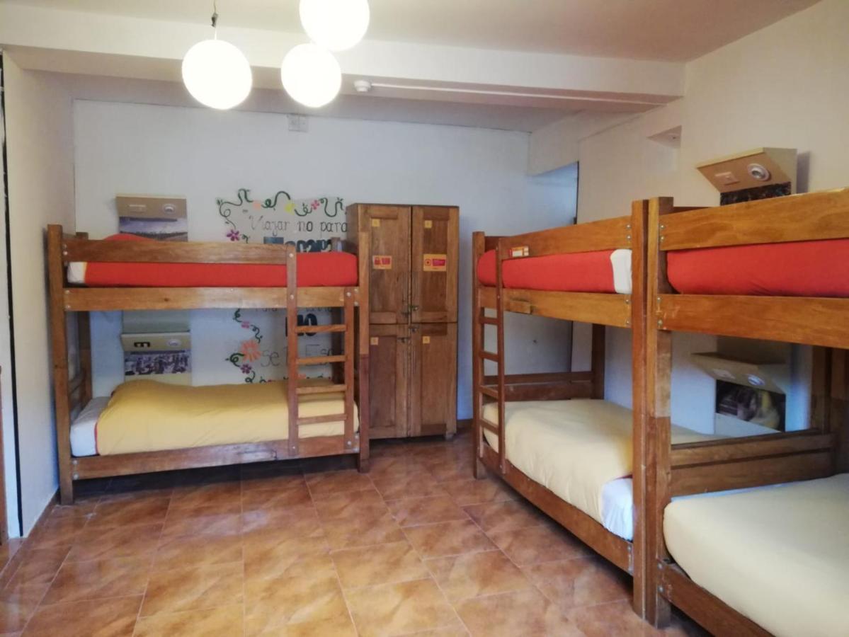 Bed Female Dorm 8 Beds